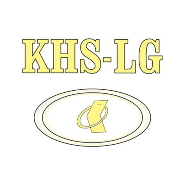 KHS LG Bearing