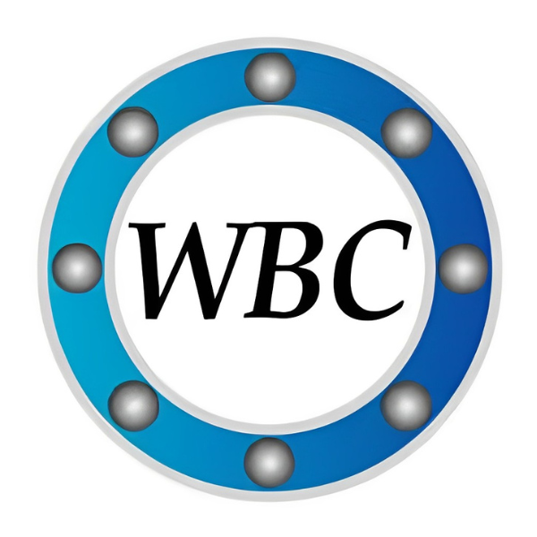 WBC Wonil Bearing